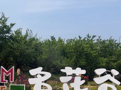 -名花谷生态庄园