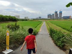 -光明小镇欢乐田园
