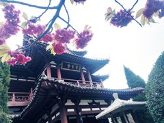 -西安青龙寺遗址景区