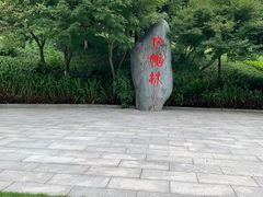 -龙头寺公园