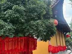 -龙华素斋(龙华路店)