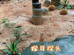 -广州长隆野生动物世界