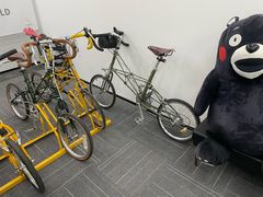 -大视光学•LINDBERG林德伯格•全球手工眼镜集合店(王府井店)