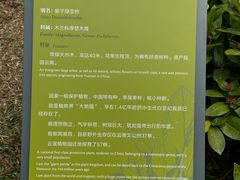 -云溪植物园
