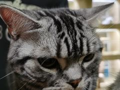 -藦茜花园宠物主题亲子互动体验馆(国顺东路店)