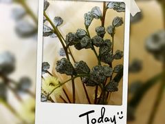 -BOBLOOM花店(宝龙旭辉广场店)