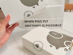 -WHEN PIGS FLY当猪飞