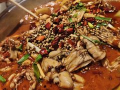 -宽口美蛙鱼头(大唐西市店)