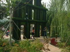 -武清南湖绿博园