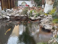 -鲤院·新中式美学·庭院餐厅(夫子庙店)