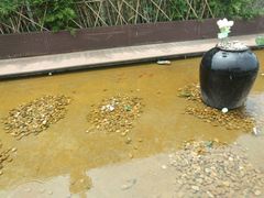 -梧桐餐厅(泉城路店)