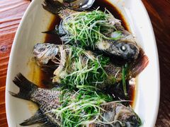 -顺德了能馆(虎门店)