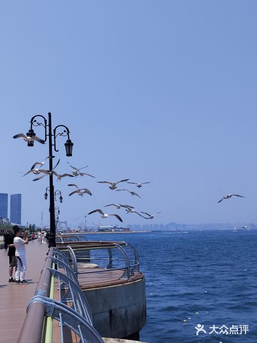 东港音乐喷泉广场图片
