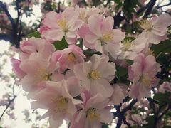 -山东师范大学(千佛山校区)