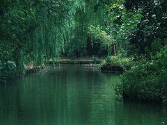-同里国家湿地公园