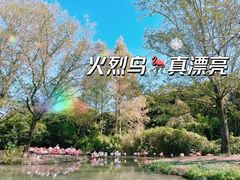 -上海野生动物园