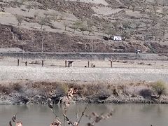 -图们口岸