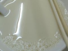 -兄弟深夜豆浆