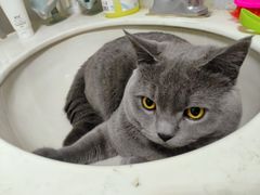 -糕材生(铜锣湾店)