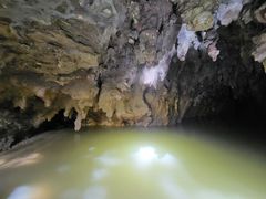 -怀托摩萤火虫洞