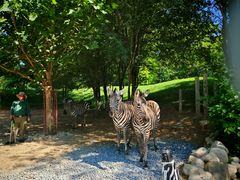 -北京野生动物园