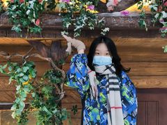 -世界之窗阿尔卑斯冰雪世界