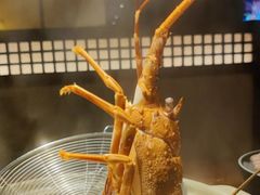 -揽季锅物会.福建黄鱼.海鲜姿造(五四路店)