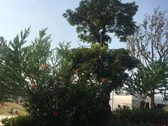 -白石龙音乐公园