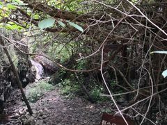 -雾灵西峰