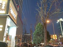-旺顺阁·北京菜·烤鸭(大望路店)