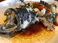 -顺德了能馆(虎门店)