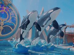 -上海海昌海洋公园