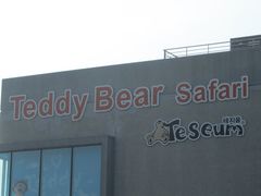 -济州岛泰迪熊博物馆