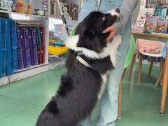 -东方动物医院·宠保定点·骨科·转诊中心(春城路·昆明站分院)