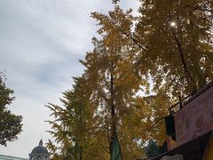 -成都欢乐谷