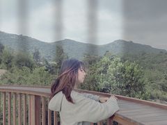 -大姆山草场