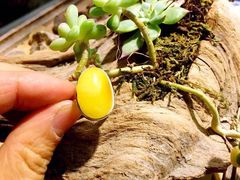 -情侣·团建·手作工坊(虹桥汇金百货店)