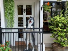 -TrueLove @ Neverland (Husky Cafe)
