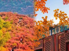 -香山公园