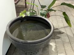 -大视光学•LINDBERG林德伯格•全球手工眼镜集合店(王府井店)