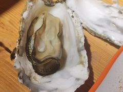 -丁荣华炸串(托乐嘉店)