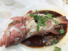 -新陶陶酒家