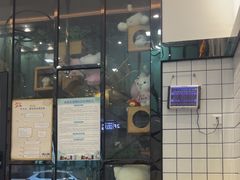 -半岛宠物医院24小时(科华中路店)