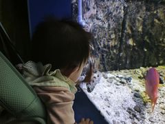 -嘉兴海底世界