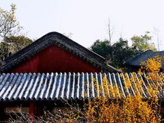 -天静宫