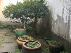 -院子餐厅·大锅菜·老杭帮(桥西直街店)