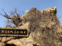 -大槐树寻根祭祖园