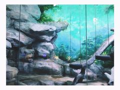 -福州罗源湾海洋世界旅游区