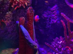 -沈阳海洋探索中心