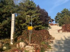 -大兴滨河森林公园